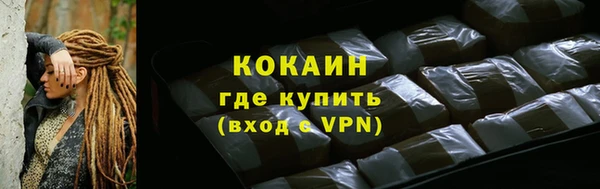 сатива Богданович