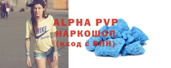 сатива Богданович