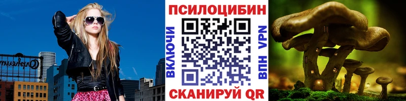 Псилоцибиновые грибы прущие грибы  Ачхой-Мартан 